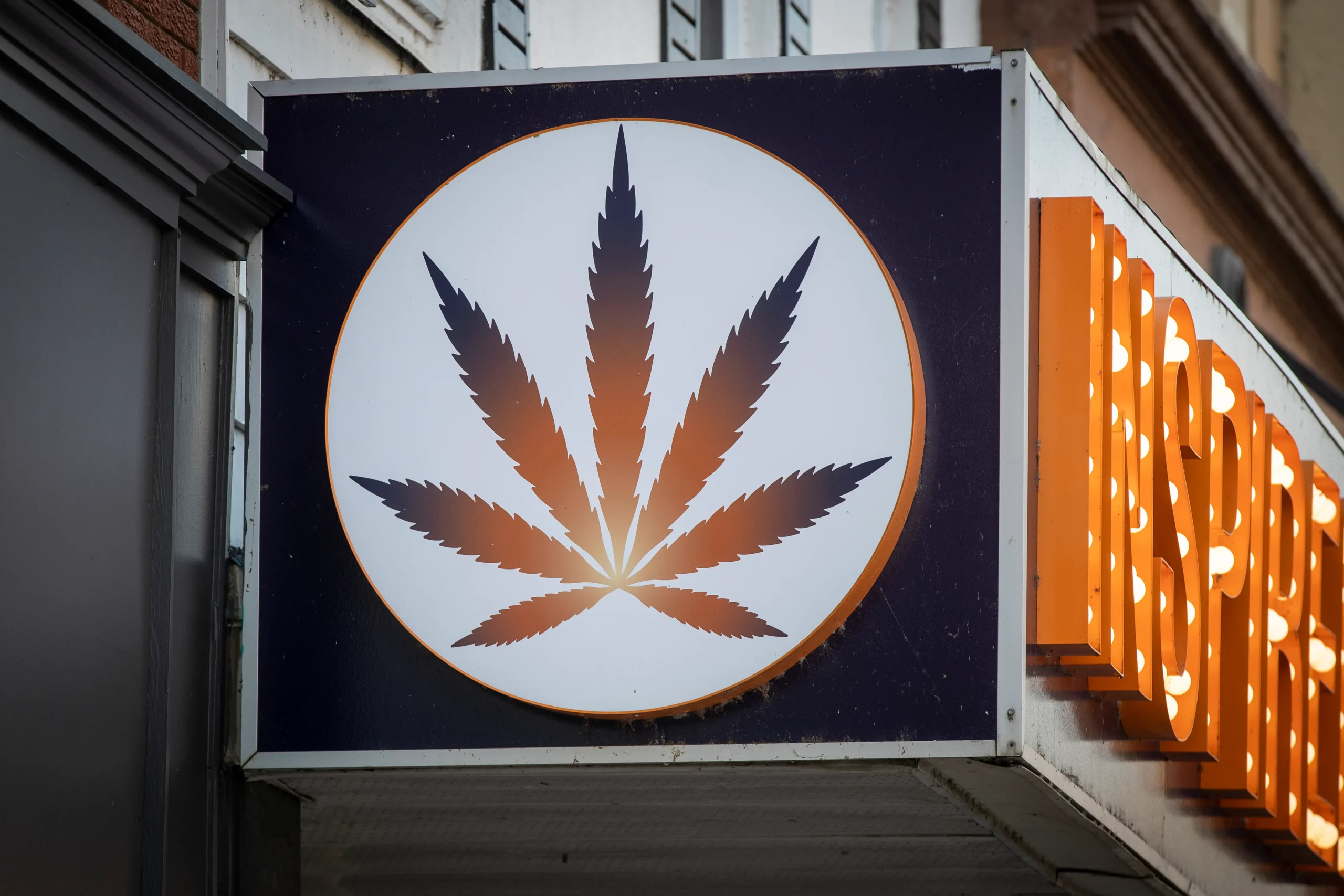 Surrey Opens Doors to Cannabis Retail: A Commercial Real Estate Boost