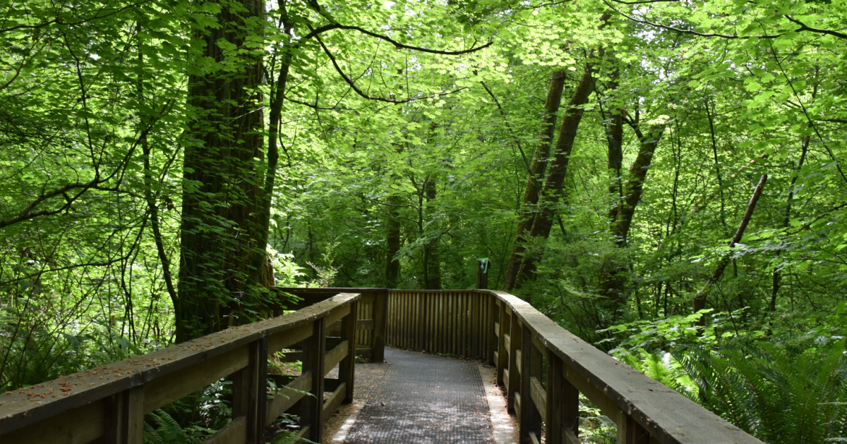 sunnyside park views